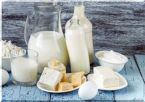 Dairy products are among the best options for breakfast