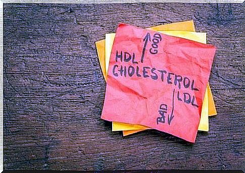 4 habits that increase cholesterol