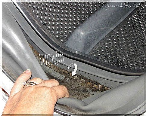 Solutions to clean the washing machine from mold