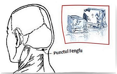 Acupressure points of the head at the nape of the neck 