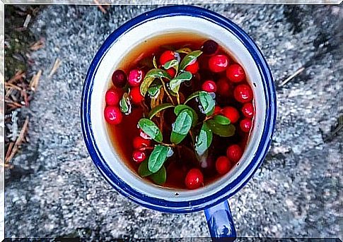 Cranberry infusion cup