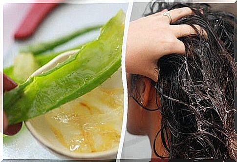 5 hair conditioners from natural ingredients