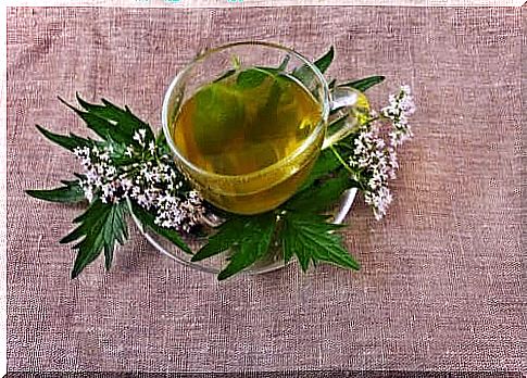 5 herbs for treating depression