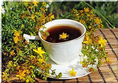 Medicinal plants to treat depression such as St. John's wort