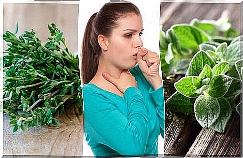 5 medicinal plants against productive cough