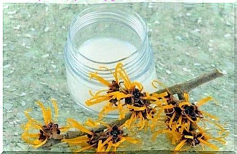 Natural remedies for itching with witch hazel