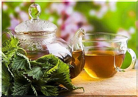 Nettle tea on the list of drinks that relieve kidney pain