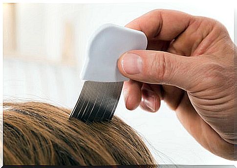 Comb used in conjunction with natural remedies for lice