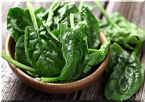 Spinach on the food list against hair loss