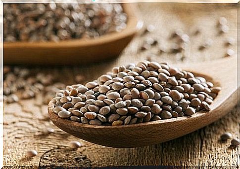 Lentils included in foods against hair loss