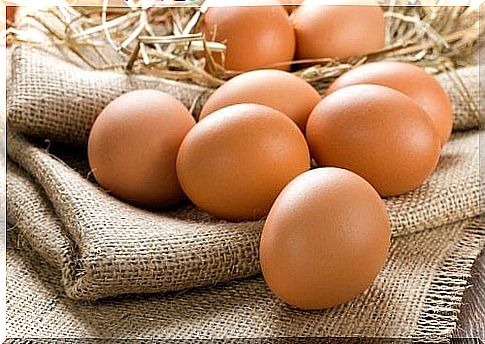 Eggs as food to treat macular degeneration