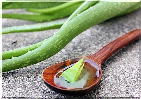 Toning the skin left after weight loss with aloe vera