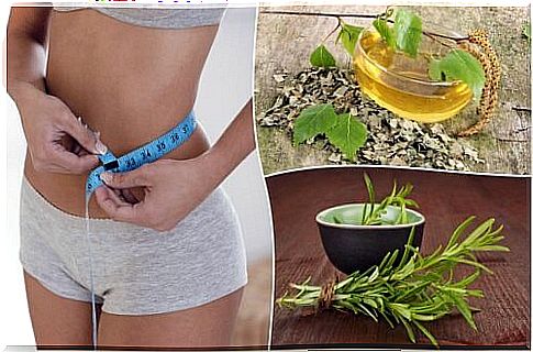 8 healthy plants that help to lose weight