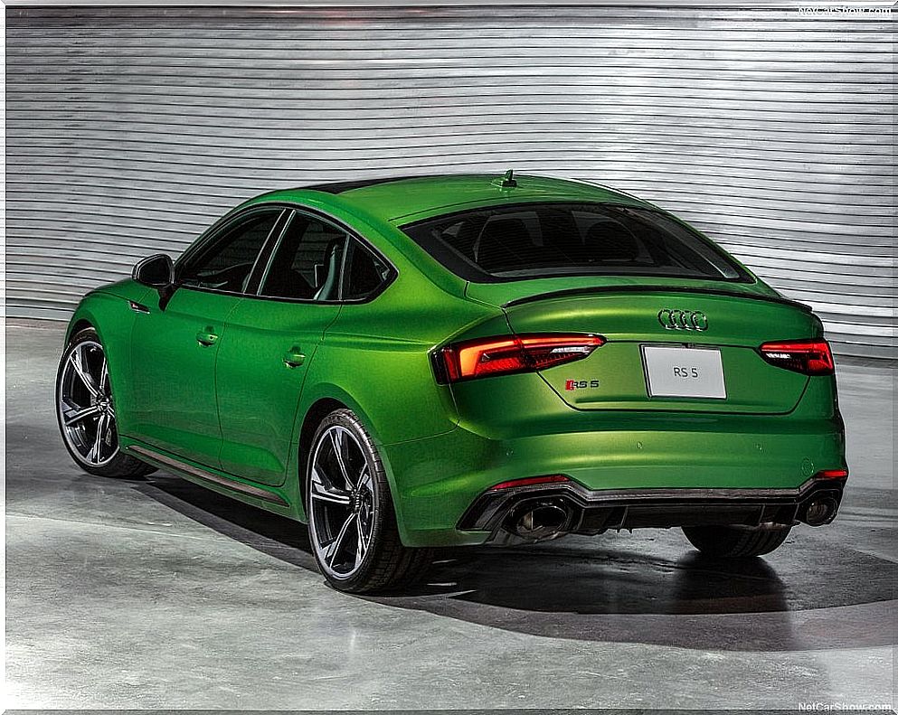 Audi RS5 Sportback: rear