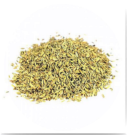 Seeds rich in mustard calcium