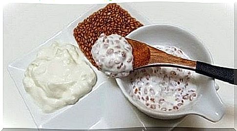 Calcium-rich seeds mixed with yogurt