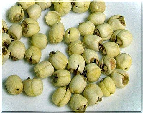 Lotus seeds