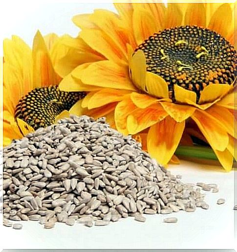 Sunflower-rich calcium seeds