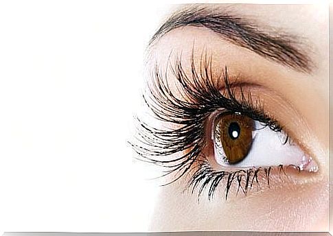 Discover a natural conditioner for lengthening eyelashes