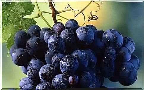 Black grapes