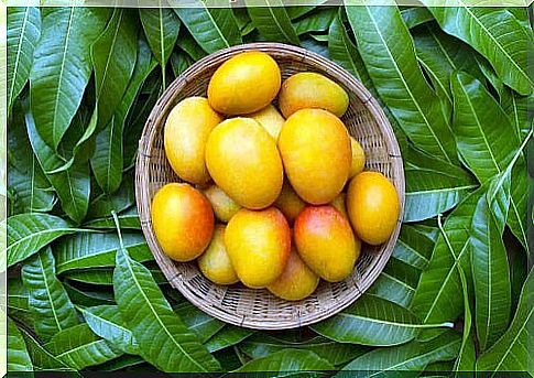 Ripe mango fruits