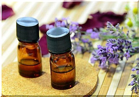 Lavender essential oil repels flies