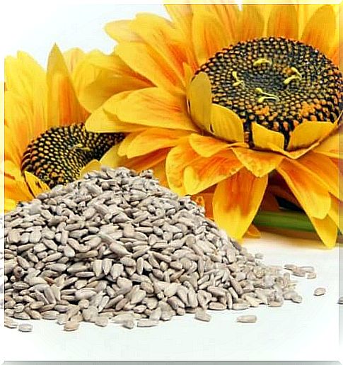 Sunflower seeds help you quit smoking