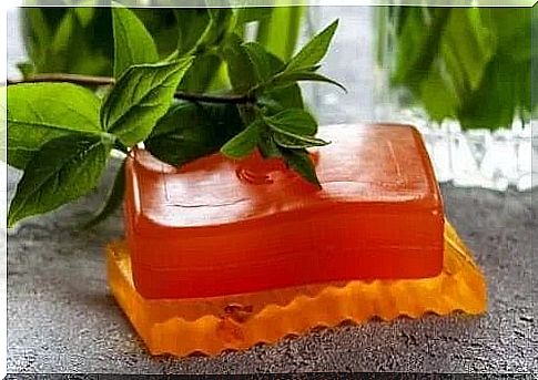 Papaya soap: uses and contraindications