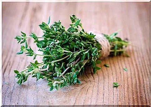 Thyme Health Benefits