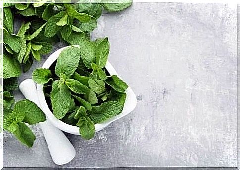 Mint remedies for migraines in children