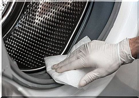 Removes mold from the washing machine naturally