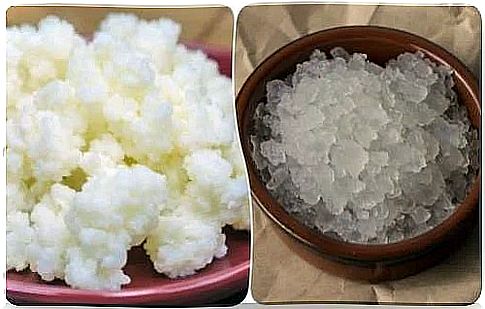 Granules from kefir of water